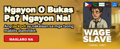 Premium Live Casino Experience